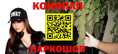 стафф Шахты