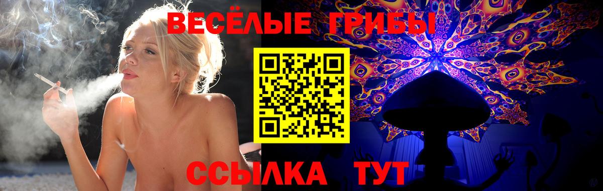 Кузнецк  Псилоцибиновые грибы мухоморы  где купить наркотик  Галлюциногенные грибы ЛСД  Вход с VPN 